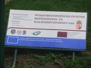 Miért egyre kevesebb a fiatalok továbbtanulási lehetősége?